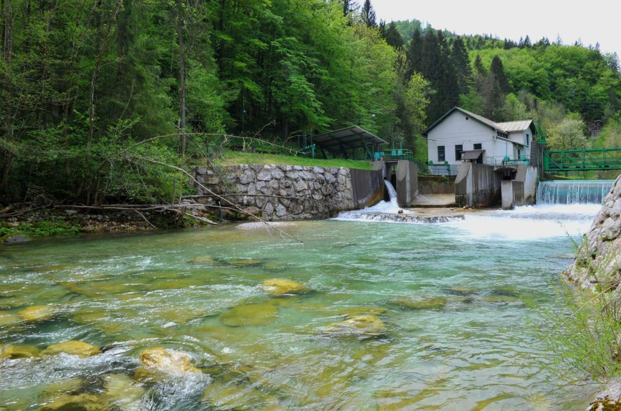 Apartma Marjetica Ii. Blejska Dobrava エクステリア 写真