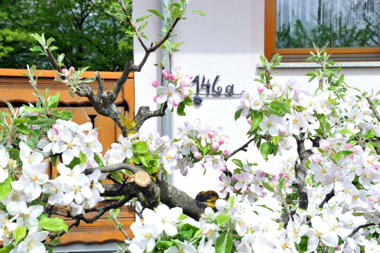 Apartma Marjetica Ii. Blejska Dobrava エクステリア 写真